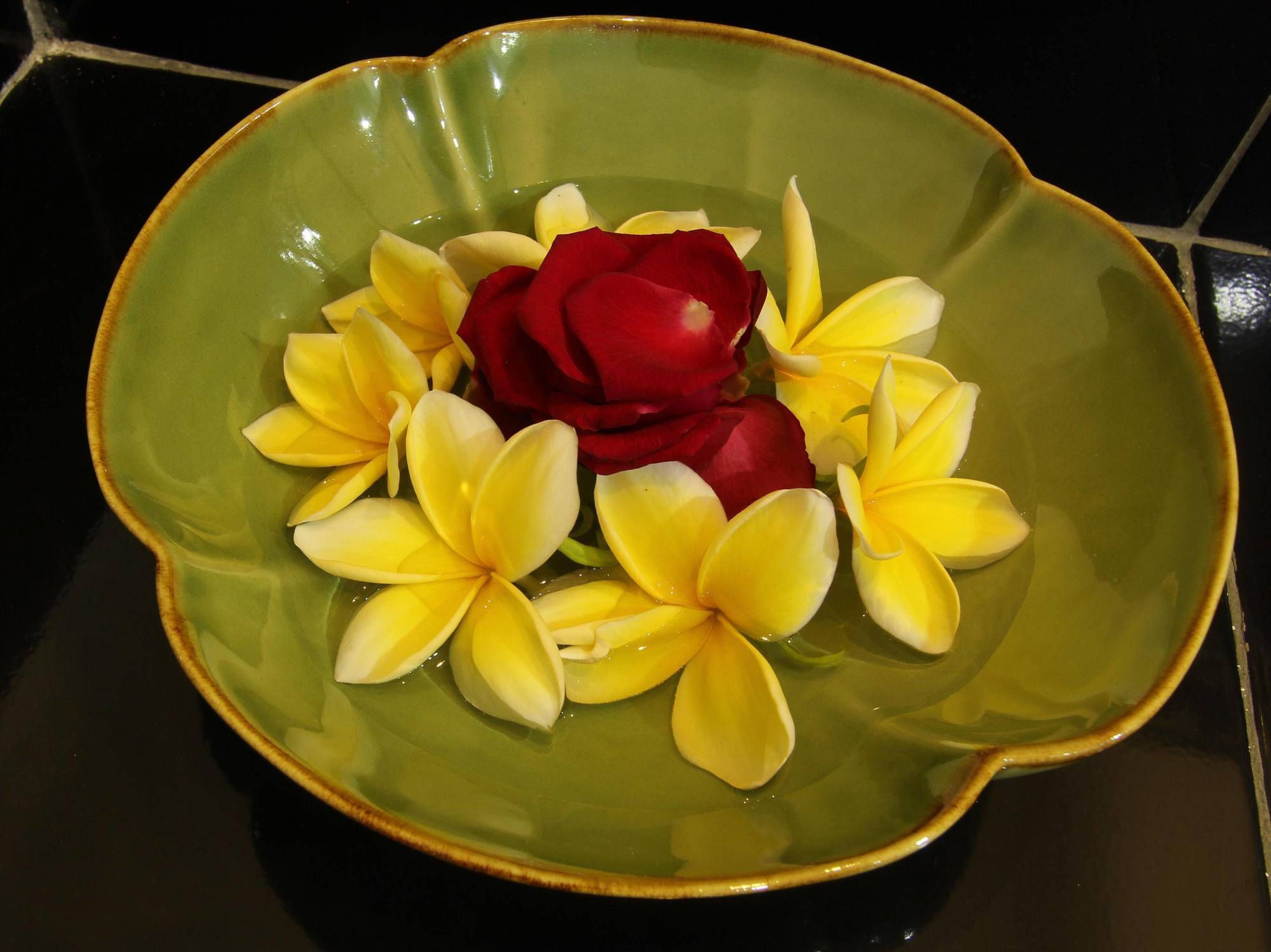 Frangipani Homestay Nusa Dua  Exteriér fotografie