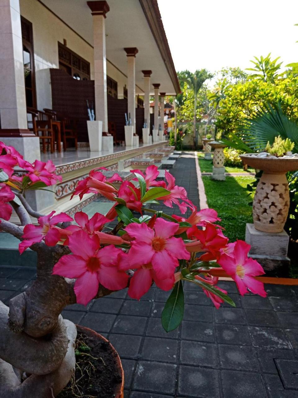 Frangipani Homestay Nusa Dua  Exteriér fotografie
