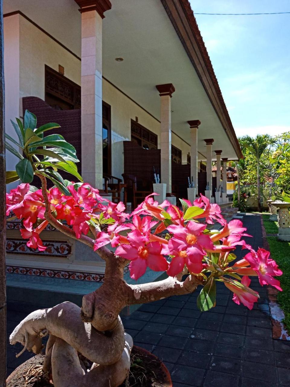 Frangipani Homestay Nusa Dua  Exteriér fotografie